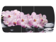 Стол раздвижной Бостон-3 Розовая орхидея-венге-брифинг